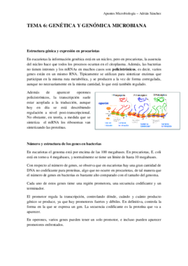 TEMA 6 microbiología.pdf