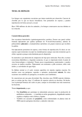 TEMA 10 micro.pdf