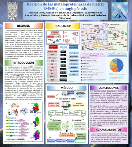 POSTER-ANGIOGENESIS-MMP-VERA-ROQUE-JOSSELIN.pdf