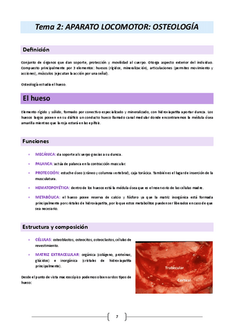 Anatomia-humana-y-embriologia-23-24.-Tema-2.pdf
