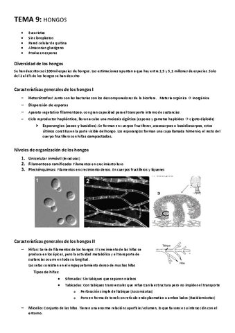 TEMA-9-Hongos.pdf