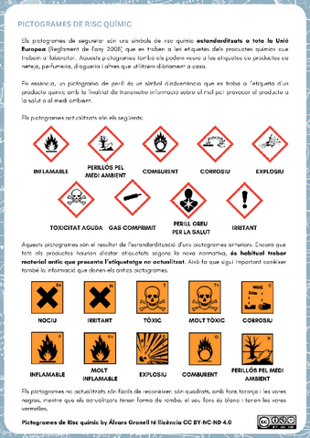 Pictogrames-de-Risc-Quimic.pdf