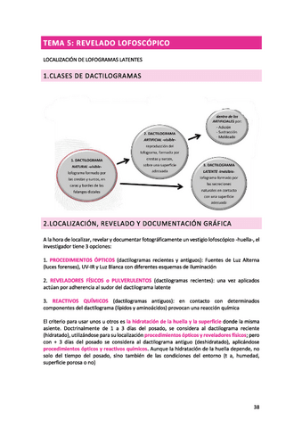 TEMA-5.pdf