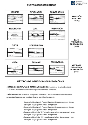 PUNTOS-CARACTERISTICOS.pdf