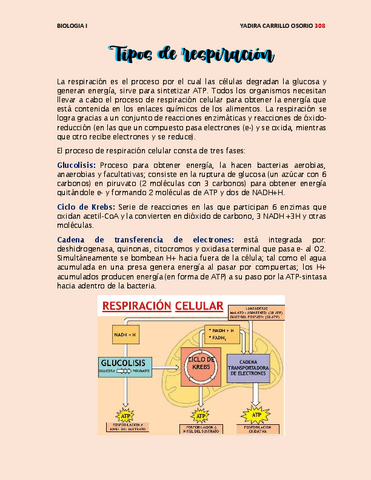 Nutricion-y-respiracion-RESUMENES.pdf