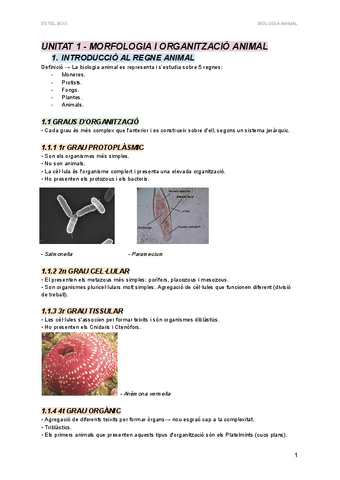 UNITAT-1-MORFOLOGIA-I-ORGANITZACIO-ANIMAL.pdf
