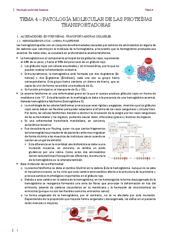 Tema-4.-Proteinas-transportadoras.pdf