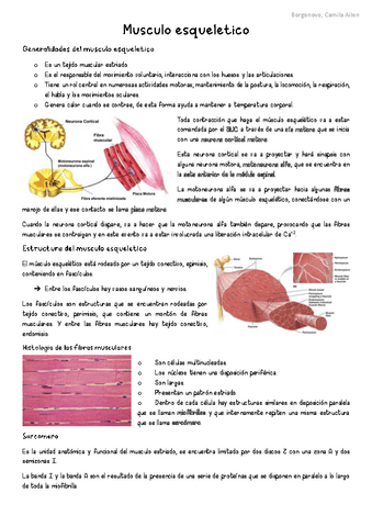SN-Musculo-esqueletico.pdf