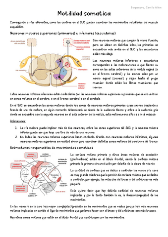 SN-Motilidad-somatica.pdf