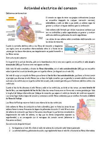 SC-Actividad-electrica-del-corazon.pdf