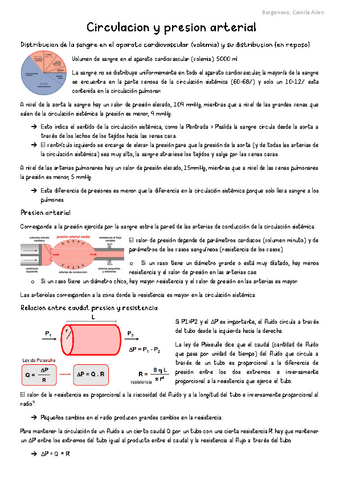 SC-Circulacion-y-presion-arterial.pdf
