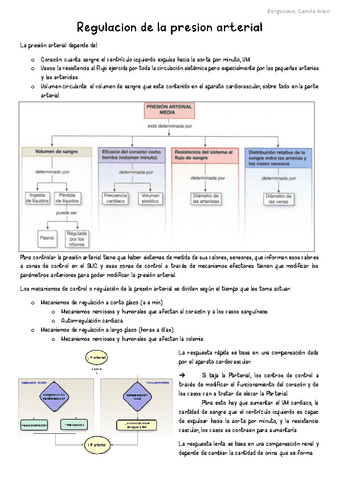 SC-Regulacion-de-la-presion-arterial.pdf