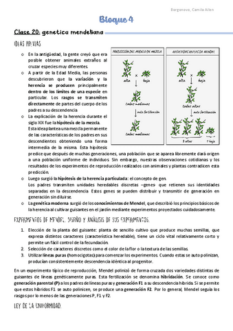 Biologia-Bloque-4.pdf