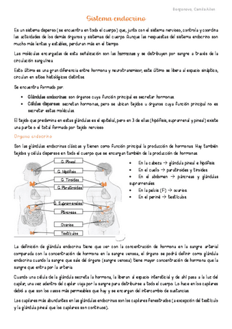 AyH-Sistema-Endocrino-y-diencefalo.pdf
