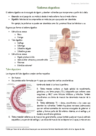 AyH-Sistema-Digestivo.pdf