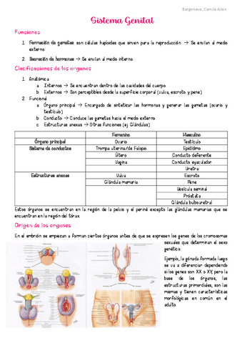 AyH-Sistema-Genital.pdf