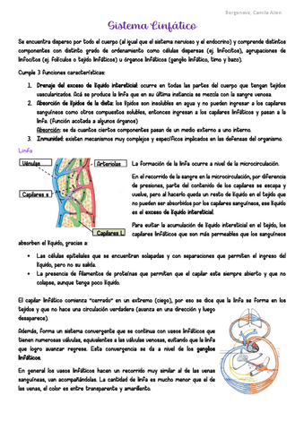 AyH-Sistema-Linfatico.pdf