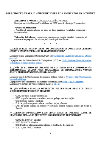 Informe-sindicatos.pdf