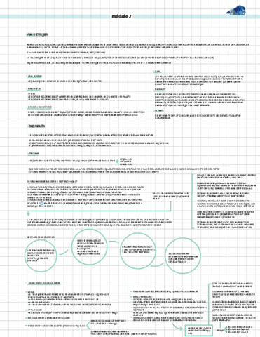 autoimagen-y-depre-resum.pdf