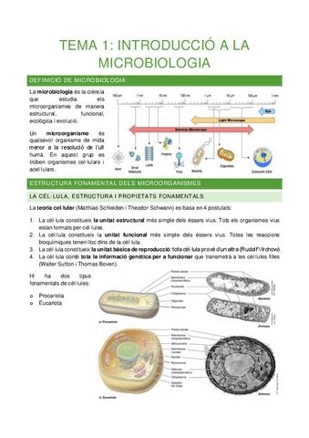 Tema-1.pdf