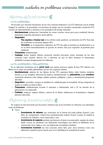 Tema 7 "Cuidados en problemas urinarios".pdf