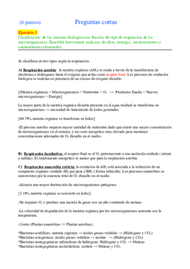 Examen TA.pdf