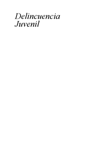 Resumen-Delincuencia-Juvenil-202324.pdf