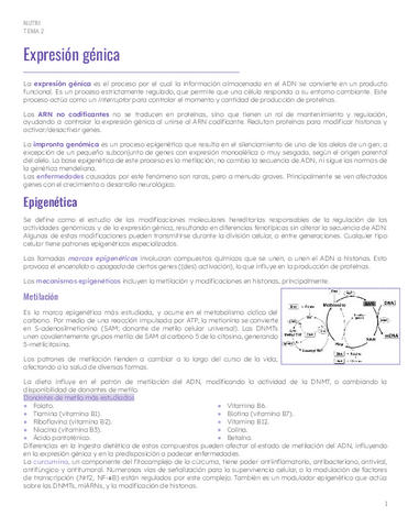 Tema-2-Expresion-genica.pdf