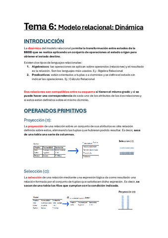 Tema-6B-Modelo-relacional-Dinamica.pdf