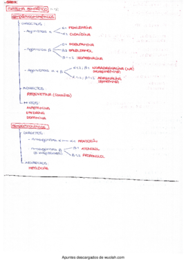 Esquema básico fármacos.pdf