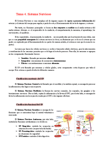 Tema-4.-Sistema-Nervioso.pdf