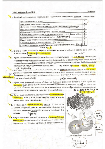 Boletin-3-bioinorganica.pdf