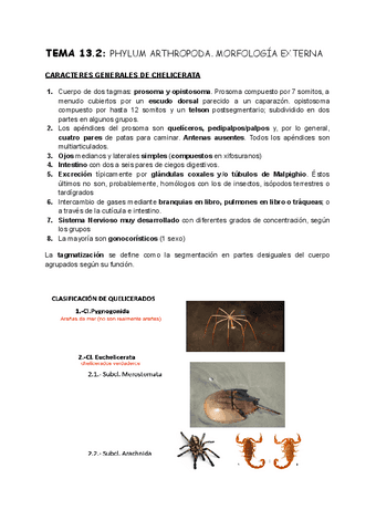 TEMA-13.2-Zoo.pdf
