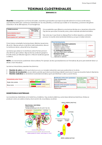 Seminario-2A.-Toxinas-clostridiales.pdf