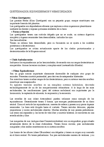 HEMICORDADOS-CORDADOS-Y-PECES-BIO-ANIMAL.pdf