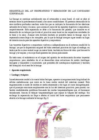 EMBRIOLOGIA-DEL-AP.-RESPIRATORIO-II-VETERINARIA.pdf