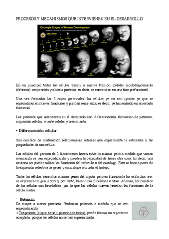 PROCESOS-Y-MECANISMOS-QUE-INTERVIENEN-EN-EL-DESARROLLO-EMBRIO-VET.pdf