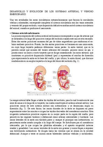 SISTEMAS-ARTERIAL-Y-VENOSO-EMBRIO-VET.pdf