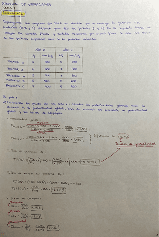 Ejercicios-Resueltos-Tema-1.pdf