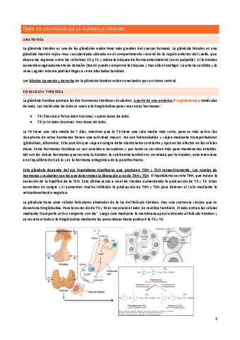 Tema-11.pdf