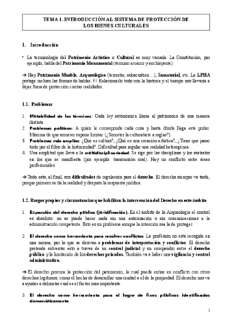 TEMA-1.-INTRODUCCION-AL-SISTEMA-DE-PROTECCION-DE-LOS-BIENES-CULTURALES.pdf