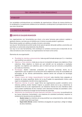 T1-ORGANIZACIONES.pdf