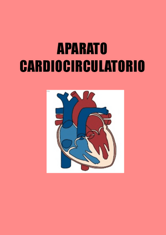 SISTEMA-CARDIACO.pdf