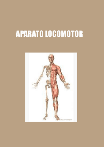 LOCOMOTOR.pdf