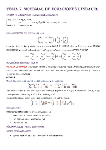 Tema-2-Sistemas-de-ecuaciones-lineales.pdf