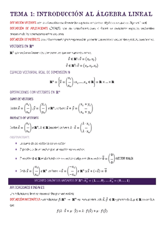 Tema-1-Introduccion-al-algebra-lineal.pdf