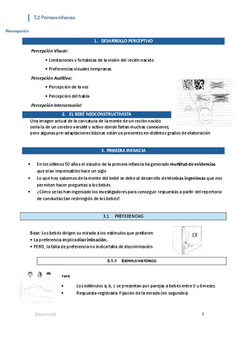 Desarrollo-2.pdf