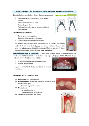 TEMA-11-TERAPIA-PULPAR.pdf