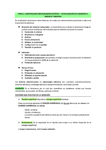 PRIMER-CUATRI-PTD-II.pdf