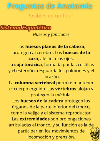 Posibles-Preguntas-de-Anatomia-Final-3-Sistema-Esqueletico.pdf